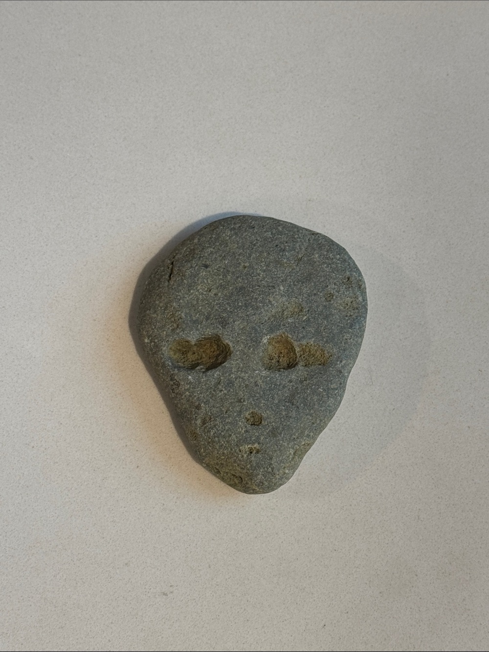 Alien head / face shaped Natural Gray River Rock from British Columbia